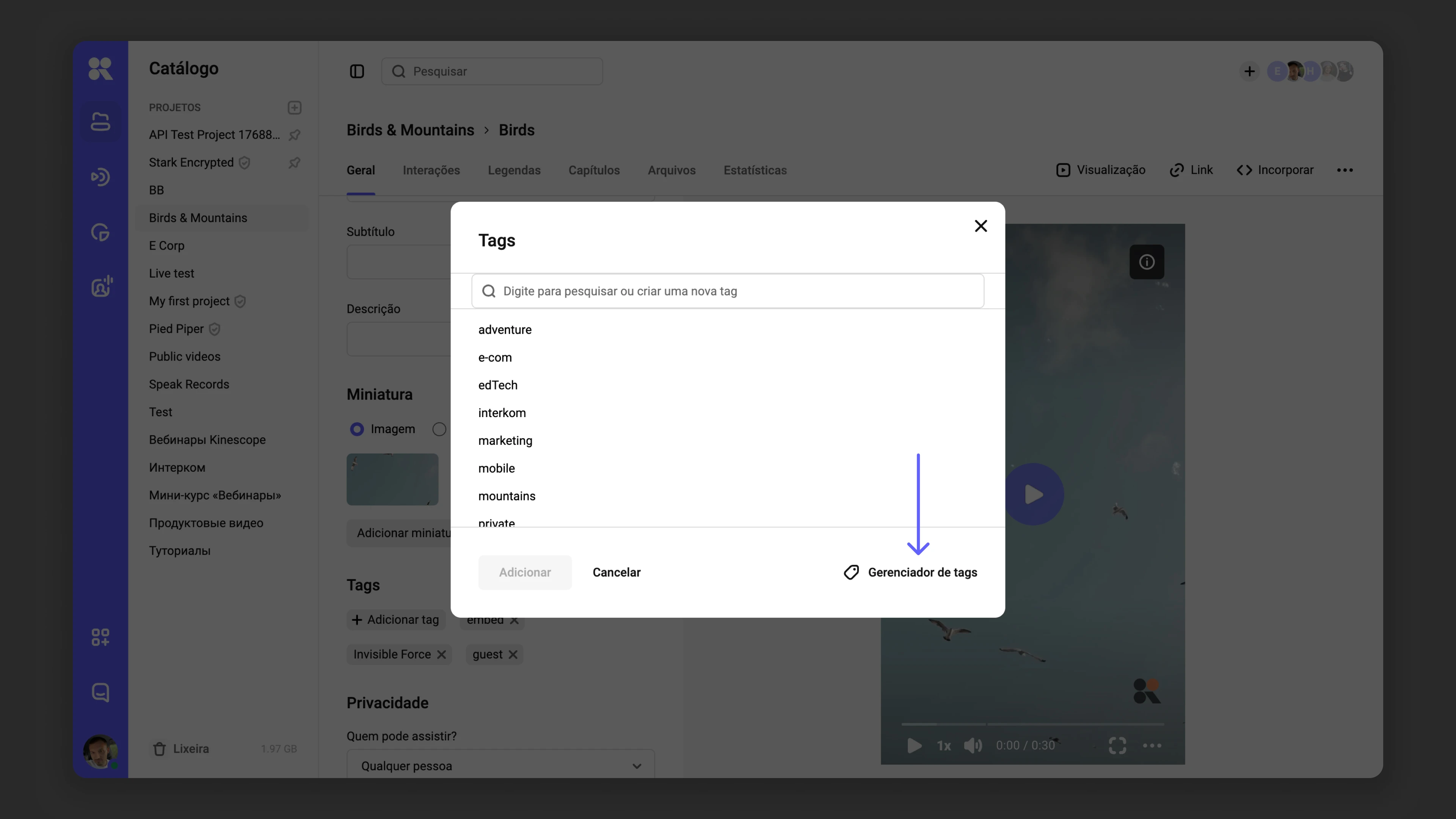 Gerenciador de tags nas configurações do arquivo de mídia