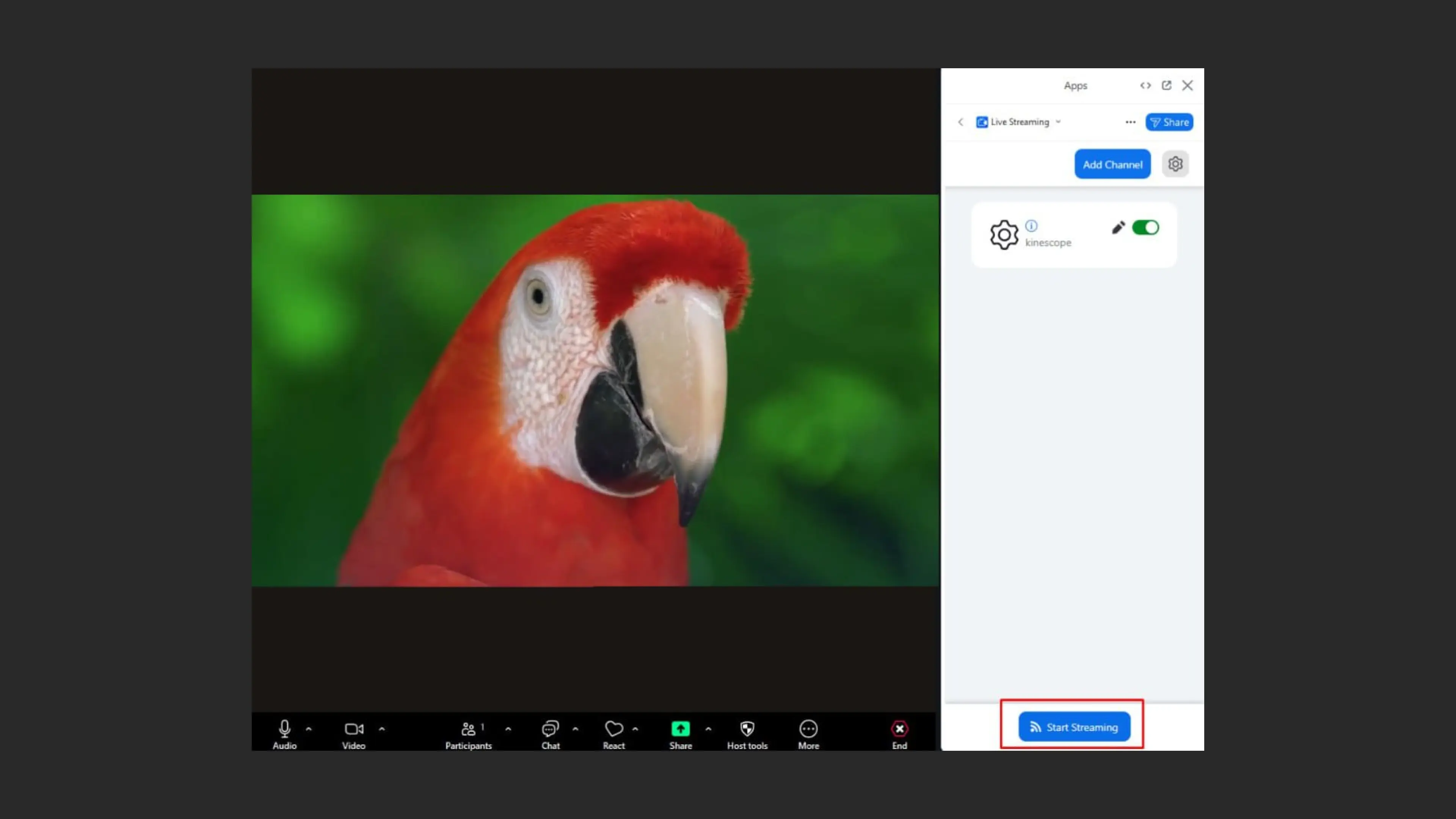 Iniciando o stream no Zoom