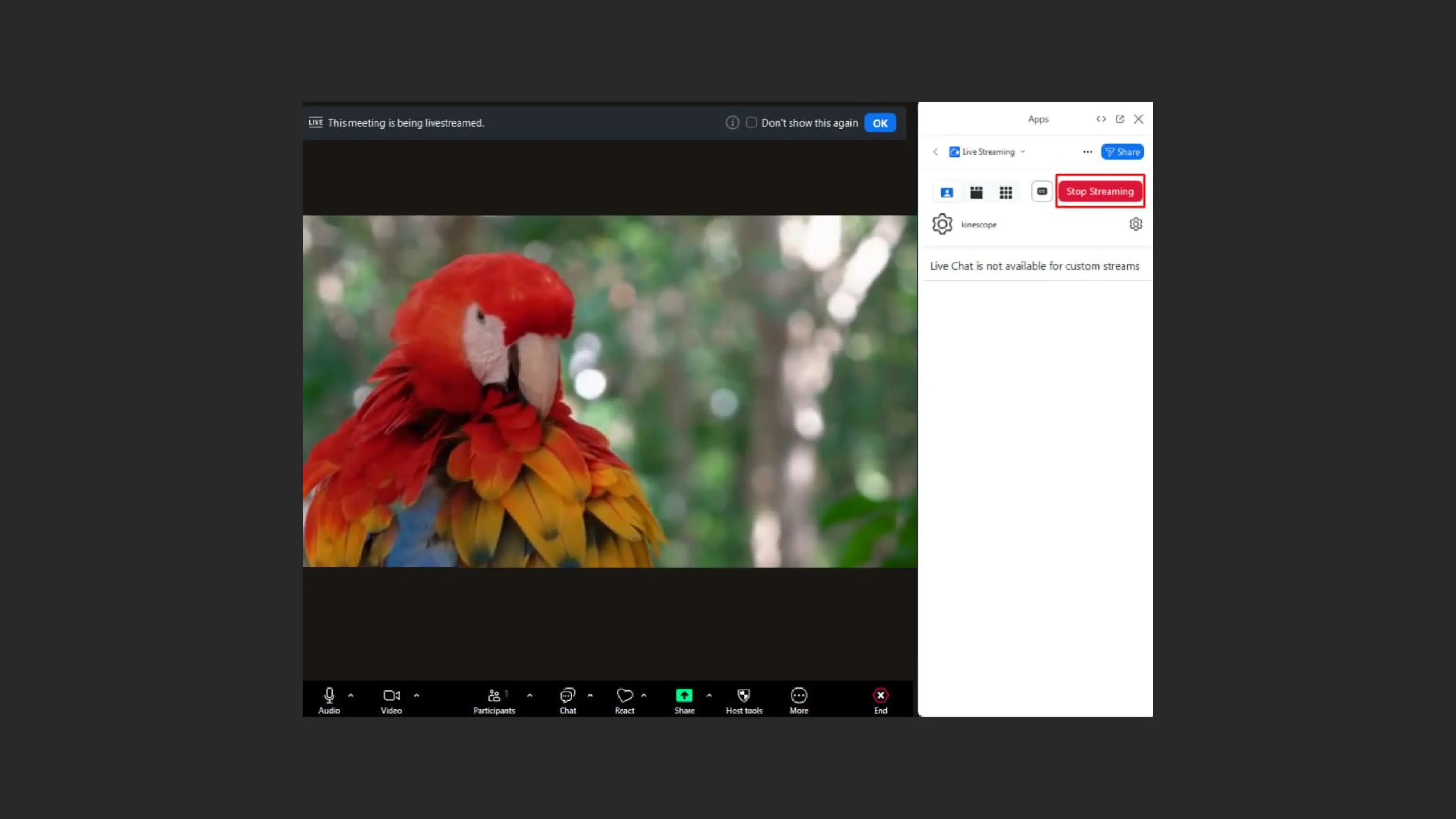 Parar streaming no Zoom