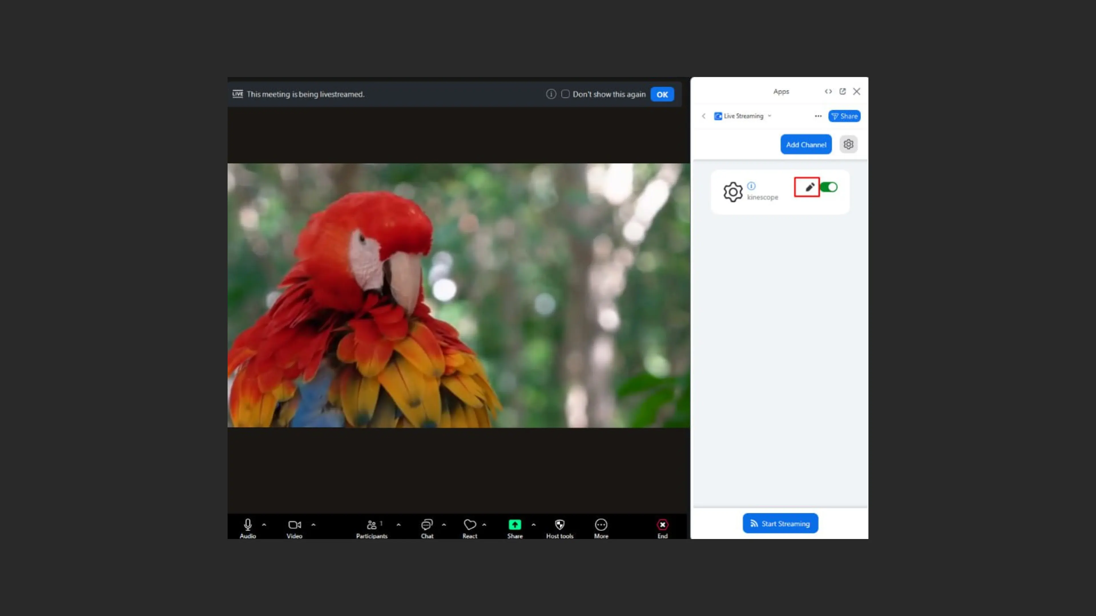 Abrindo as configurações de stream para editar no Zoom