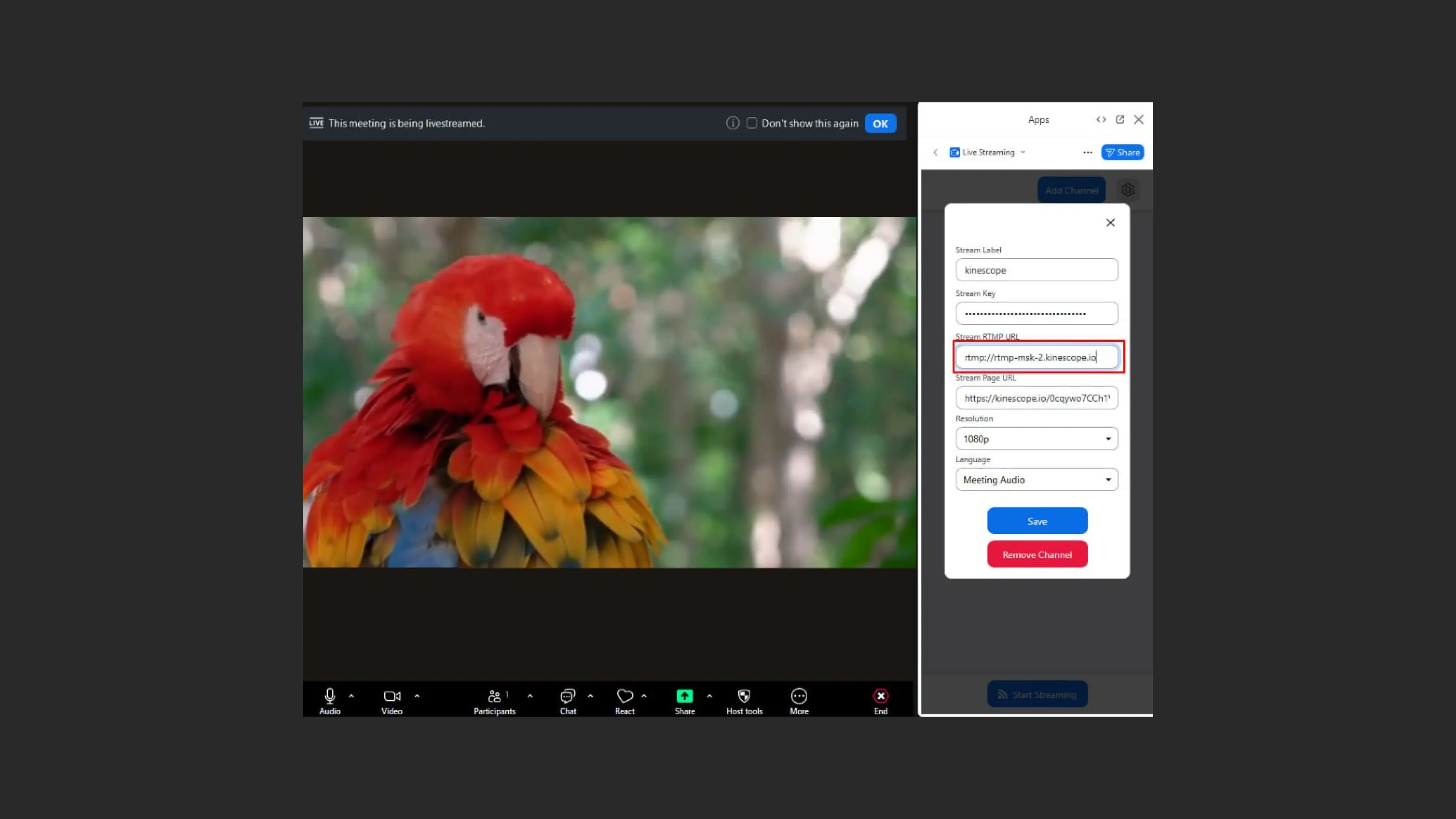 Formulário de configurações de stream com campo de URL RTMP no Zoom