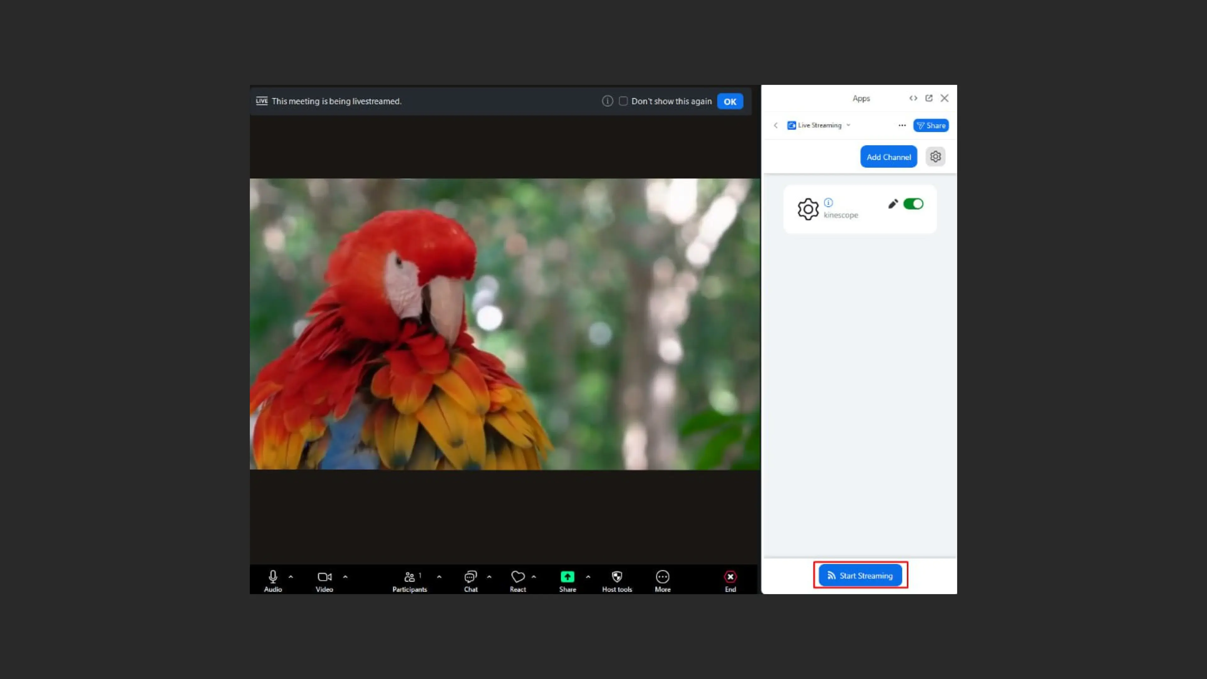 Salvando as configurações atualizadas de stream no Zoom